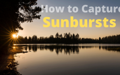 Why I Love Sunbursts and Why You Should Too!