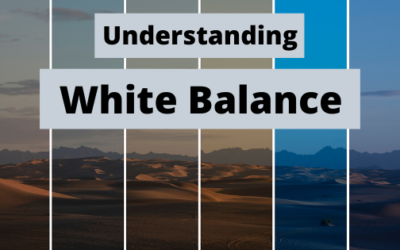 Understanding White Balance