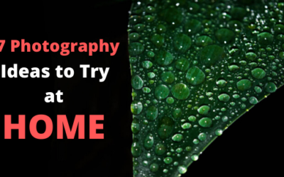 7 Beginner Photography Ideas to Do at Home!