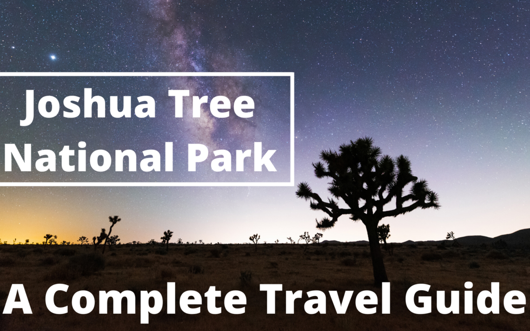 Joshua Tree National Park – A Complete Travel Guide